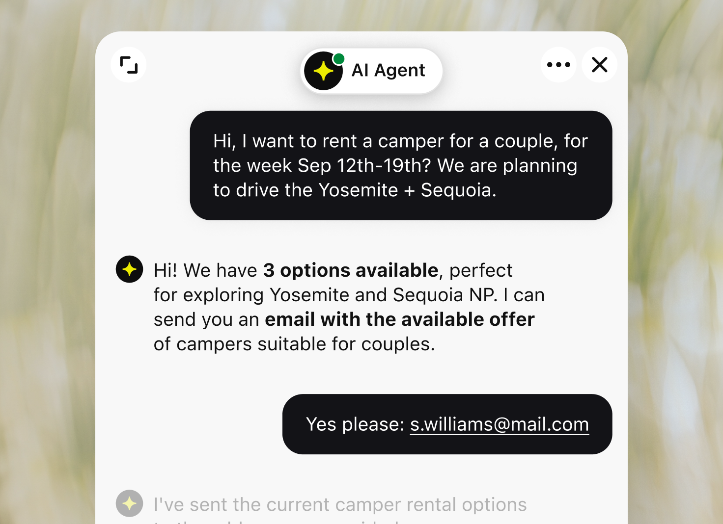 An AI agent collects a camper rental request and email address for follow-up.